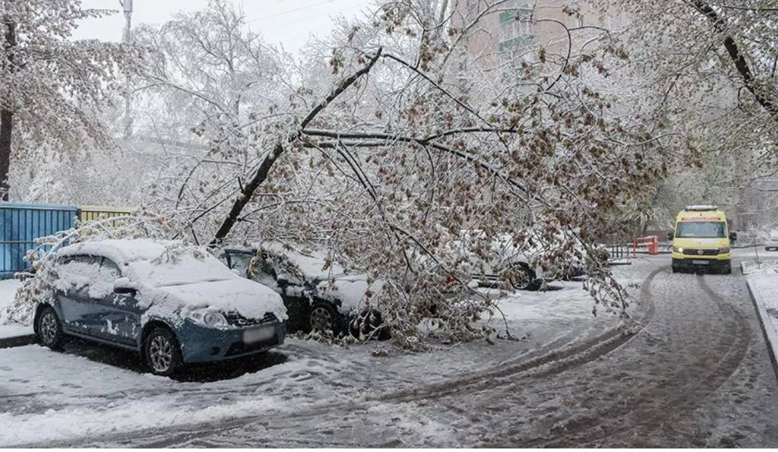 Страховщики рассказали о выплатах за повреждение автомобилей в непогоду