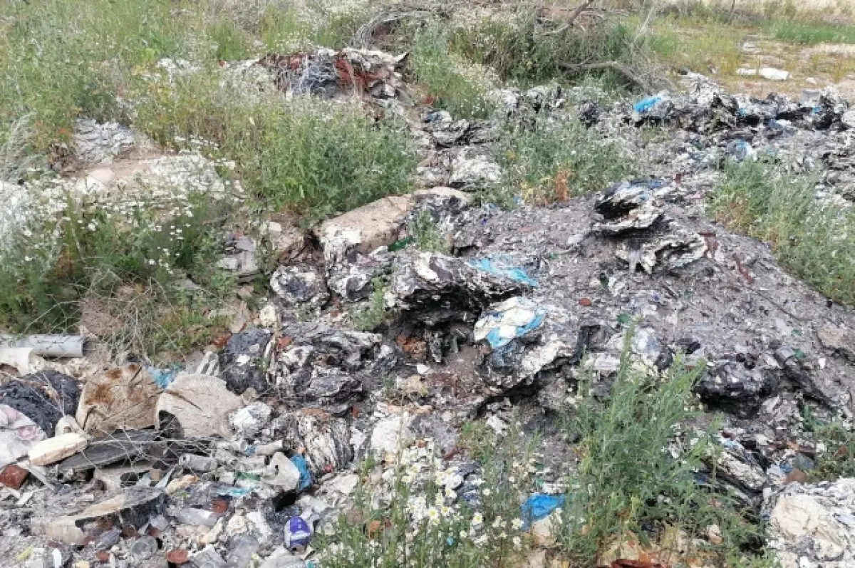 Заметили спустя десятилетия