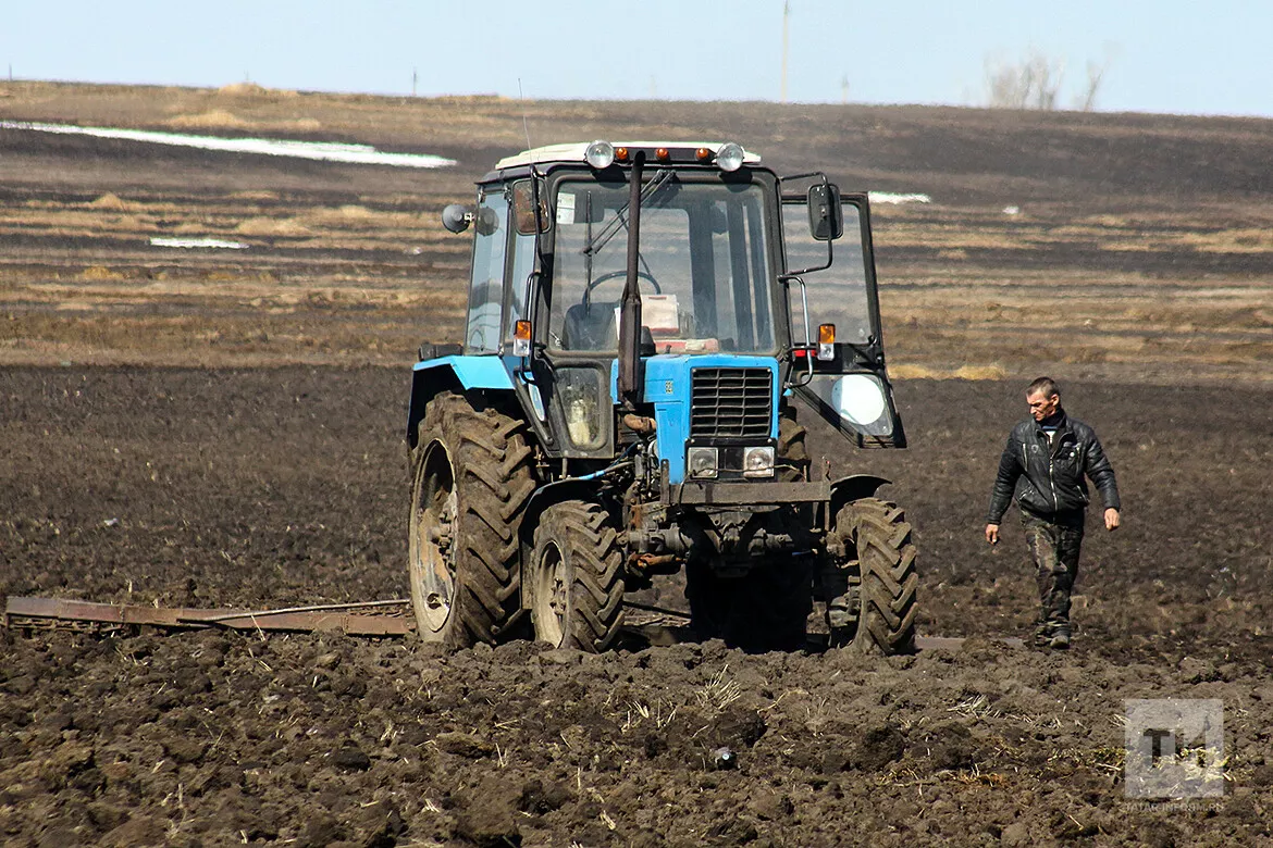 Вести с полей