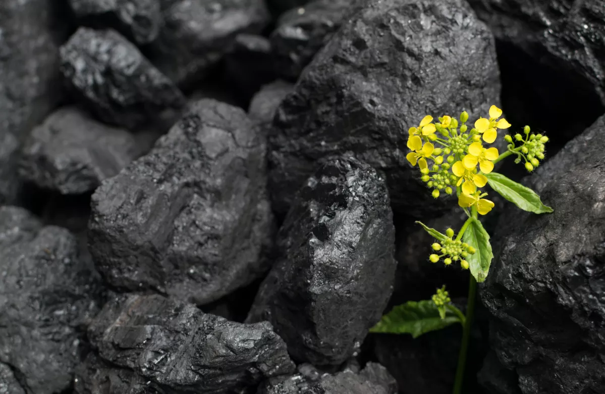 Кузбасс перестал быть ключевым