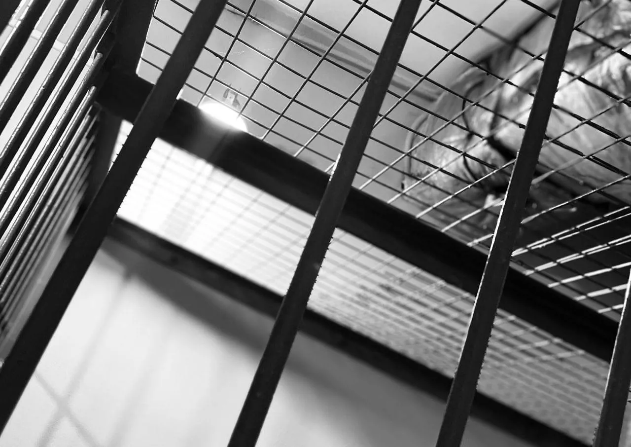 Сотрудник кузбасской колонии получил срок за взятку