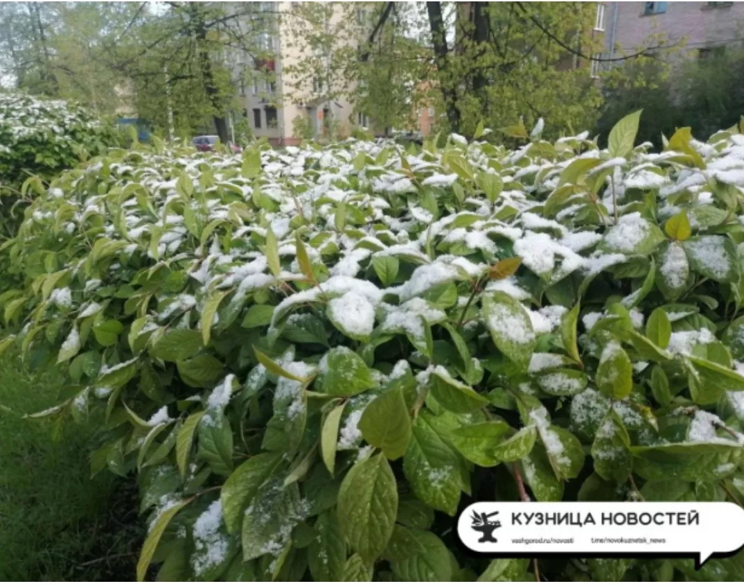 Мёрзнут все: синоптики озвучили нерадостный прогноз погоды в Новокузнецке