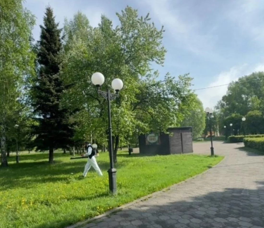 Новокузнецк начали массово обрабатывать от клещей