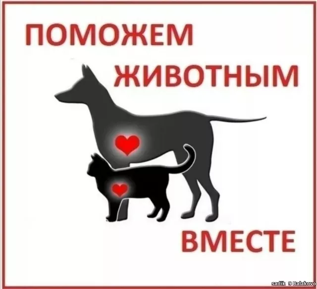 Когда цена жизни – 50 рублей