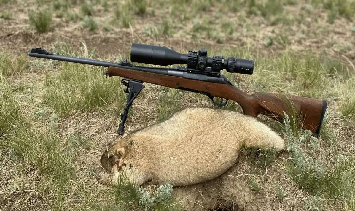Добудь сурка