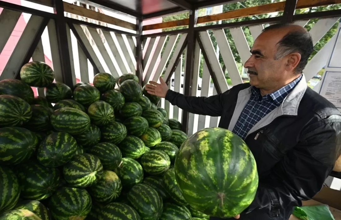 Главный токсиколог Кузбасса рассказал, чем на самом деле опасны арбузы