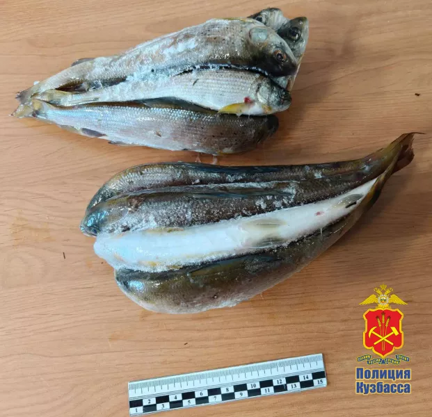 Рыбалка под запретом