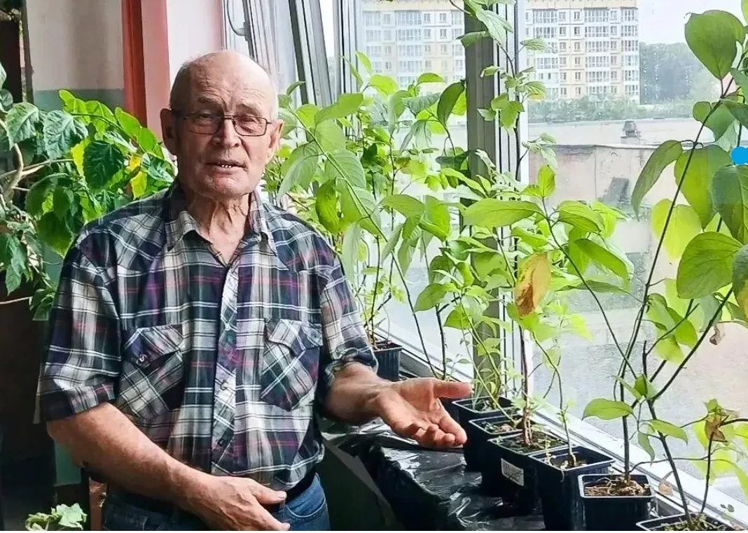 Учёные из Кузбасса придумали, как вырастить леса на нечистотах