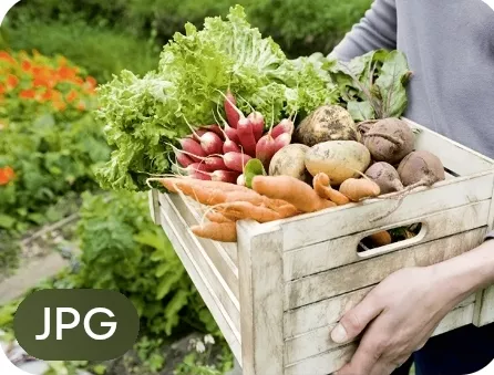 Продуктовые наборы горожанам