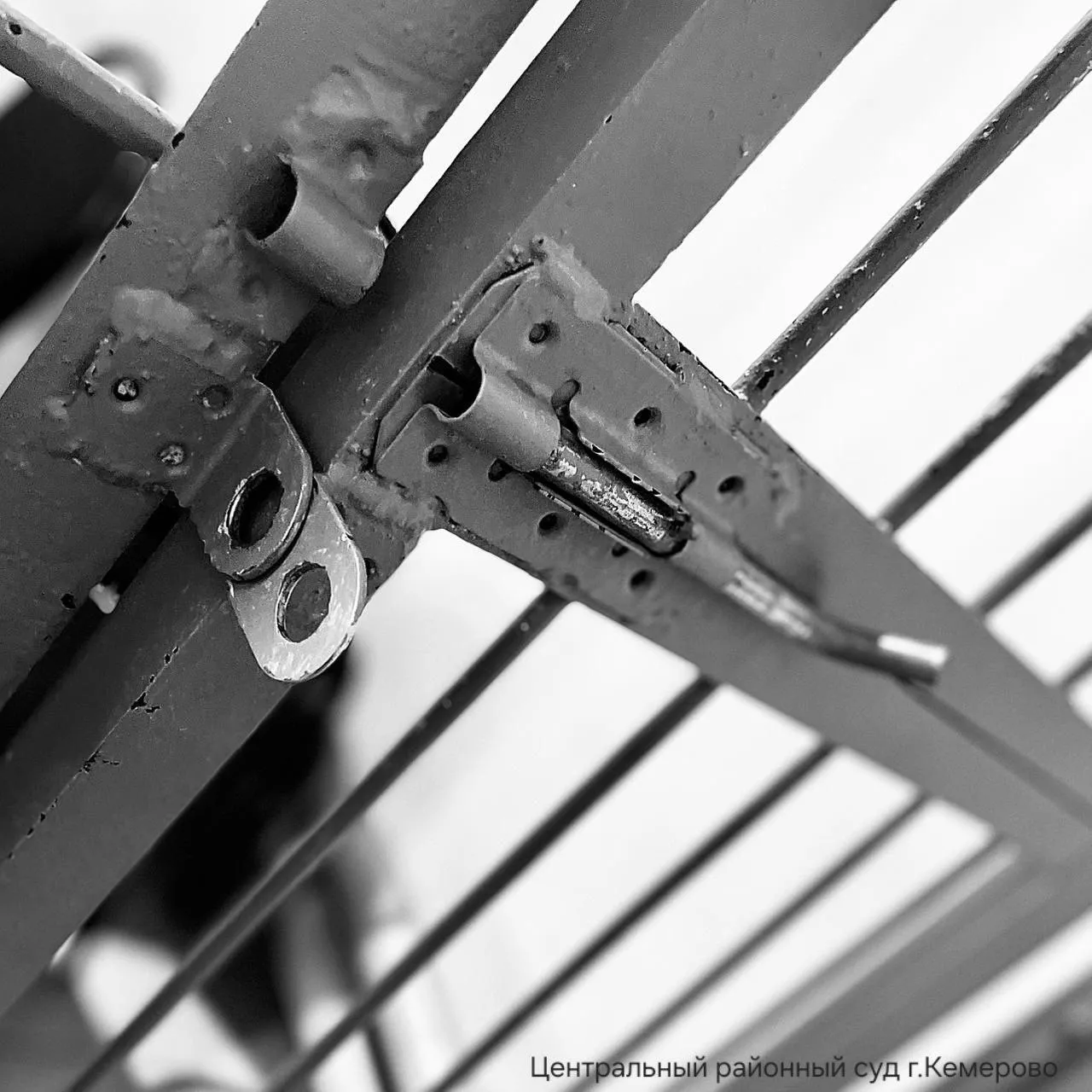 Криминальную пару взяли под стражу за подготовку теракта