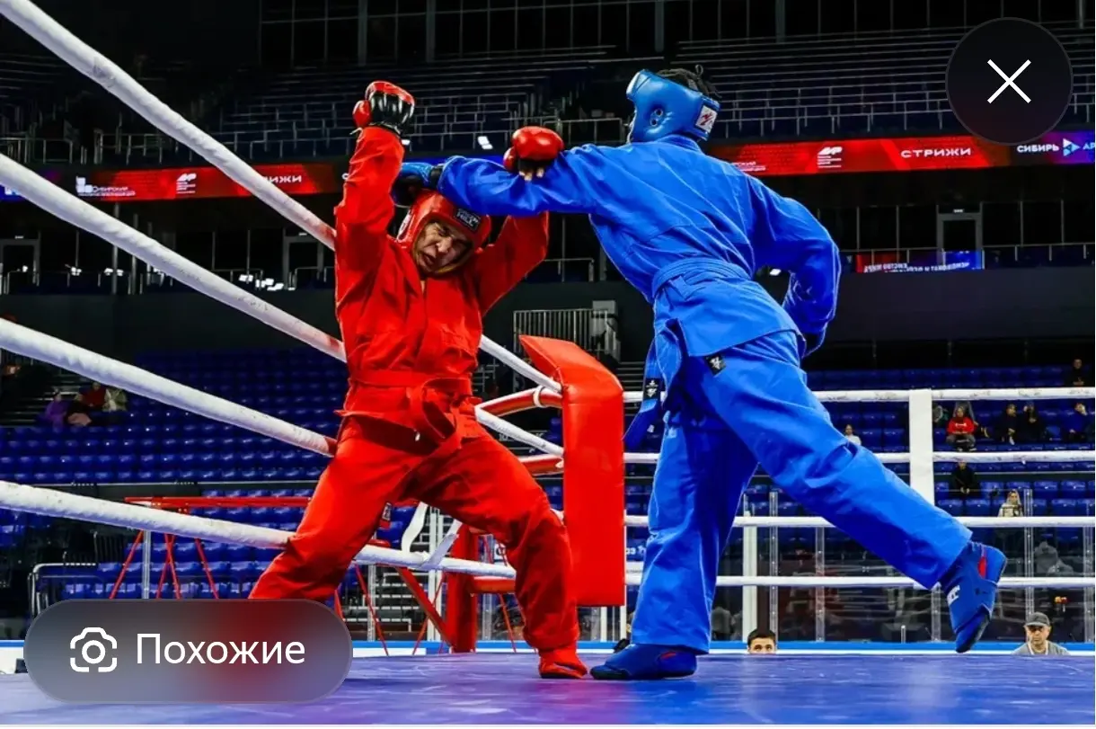 Кемерово примет более 1,2 тыс. участников чемпионата мира по универсальному бою