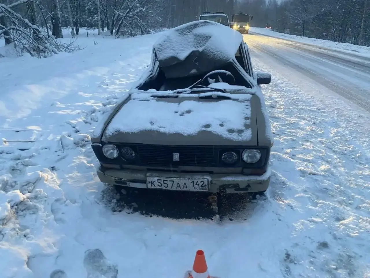 Водитель сбил лося на автодороге в Новокузнецком районе